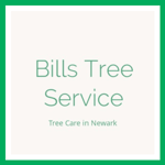 Bills Tree Service Logo