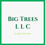 Big Trees L L C Logo