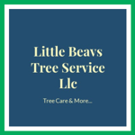 Little Beavs Tree Service Llc Logo
