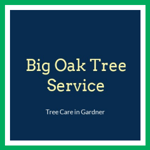 Big Oak Tree Service Logo