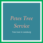 Petes Tree Service Logo
