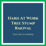 Hard At Work Tree Stump Rmoval Logo