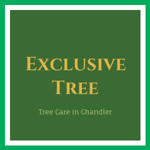 Exclusive Tree Logo