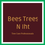 Bees Trees N Iht Logo