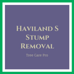 Haviland S Stump Removal Logo