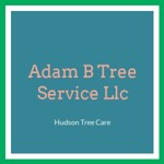 Adam B Tree Service Llc Logo