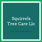 Squirrels Tree Care Llc Logo
