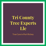 Tri County Tree Experts Llc Logo