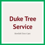 Duke Tree Service Logo