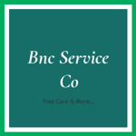 Bnc Service Co Logo