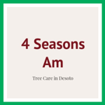 4 Seasons Am Logo