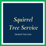 Squirrel Tree Service Logo