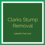 Clarks Stump Removal Logo