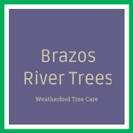 Brazos River Trees Logo