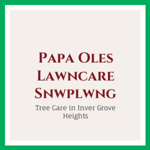 Papa Oles Lawncare Snwplwng Logo