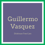 Guillermo Vasquez Logo