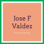 Jose F Valdez Logo