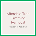 Affordble Tree Trmming Removal Logo