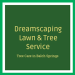 Dreamscaping Lawn & Tree Service Logo