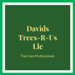 Davids Trees-R-Us Llc Logo