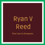 Ryan V Reed Logo