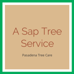 A Sap Tree Service Logo
