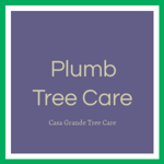 Plumb Tree Care Logo