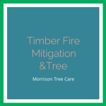 Timber Fire Mitigation &amp;Tree Logo