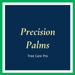 Precision Palms Logo