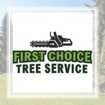 A 1St Choice Tree Service Inc Logo