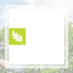 A Preservation Tree Service Logo