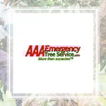Aaa Emergency Tree Service Llc Logo
