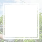 All American Arborist Llc Logo