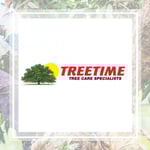 Anytime Tree Time Logo