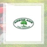 Arbor Age Tree Service Inc Logo