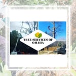 Bellevue Tree Care Logo