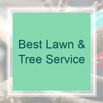 Best Lawn &amp; Tree Service Logo