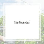 Bg Tree Man Llc Logo