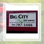 Big City Tree Service Logo