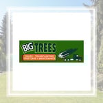 Big Trees Inc Logo