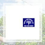 Bonilla Tree Expert Logo