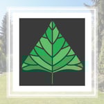 Brafford Tree Care Logo