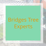 Bridges Tree Experts Logo