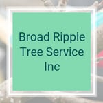Broad Ripple Tree Service Inc Logo