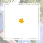 Budget Tree Service Logo