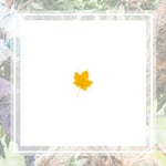 Budget Tree Service Llc Logo