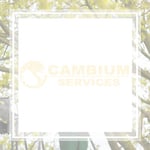 Cambium Tree Care Spclists Llc Logo