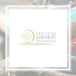 Certified Arbrst Tree Cre Logo