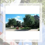 Continental Tree Service Inc Logo