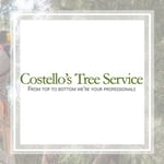Costellos Tree Service Llc Logo